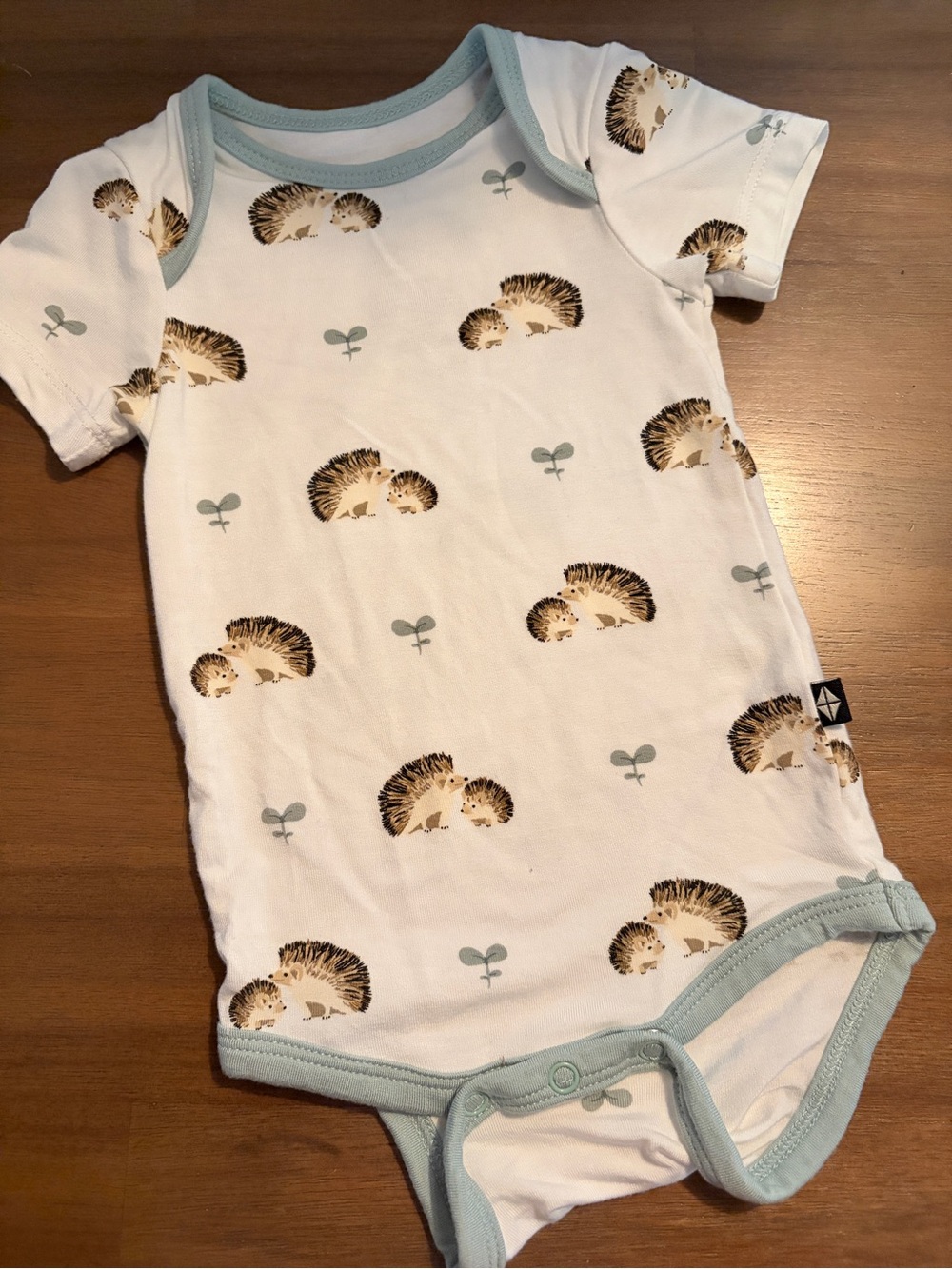 Kyte Baby hedgehog onesie